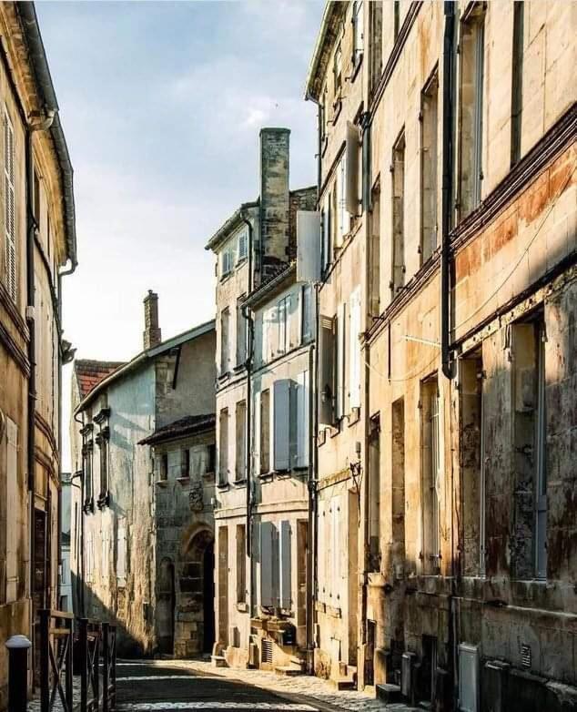 Le Cordon Bleu # Vieux-Cognac # Jardin Apartamento Exterior foto